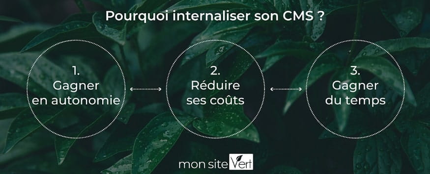 Pourquoi internaliser son CMS ?